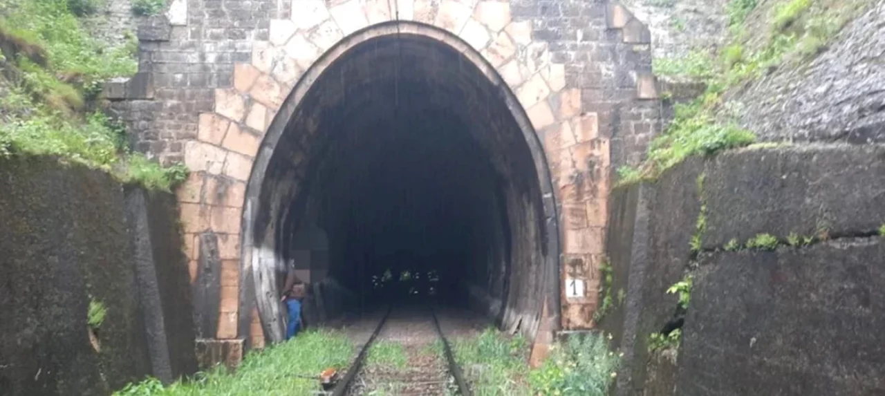 Sfârșit tragic pentru o tânără de 19 ani din Gorj. A fost lovită MORTAL de un tren de călători, în Defileul Jiului