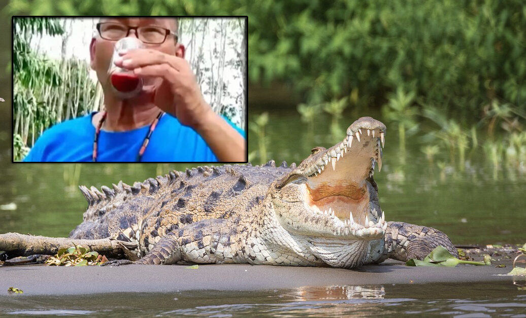 Motivul pentru care un milionar din Thailanda bea zilnic sânge de CROCODIL