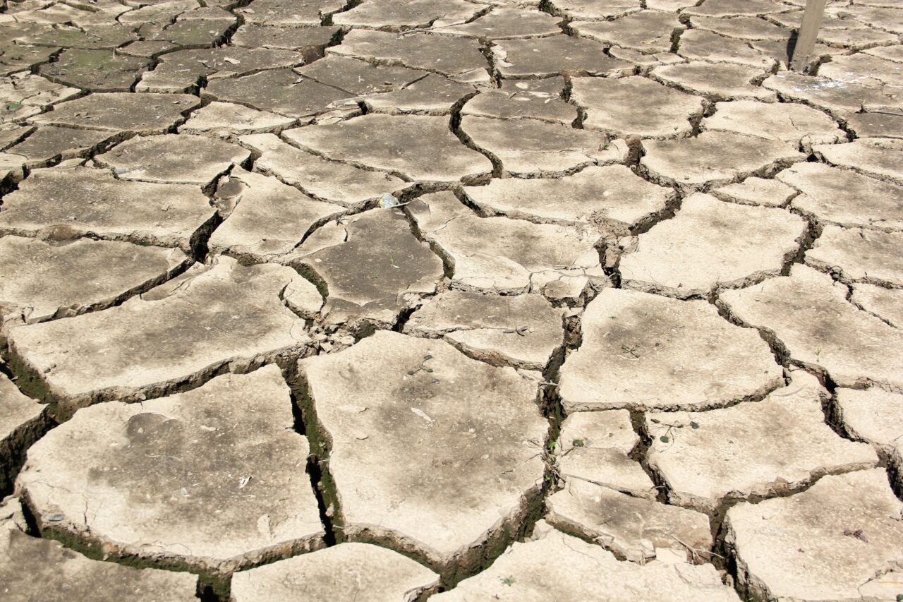 Fenomenul El Nino se întoarce. Încă o vară cu secetă cumplită în România