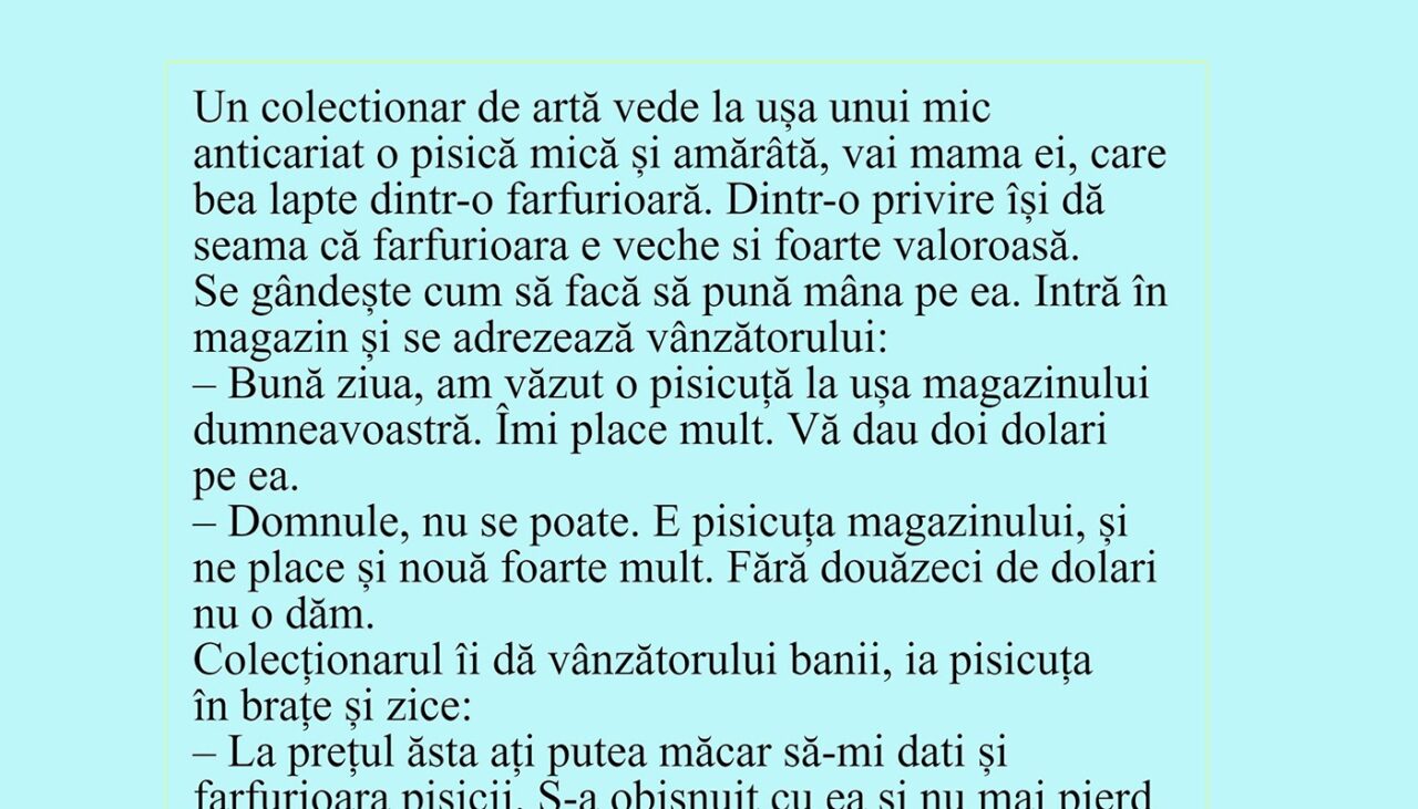 Bancul de joi | Colecționarul de ARTĂ și pisica amărâtă
