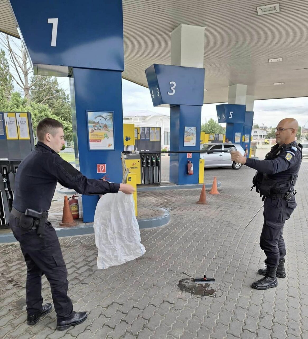 FOTO Panică la o benzinărie din Drobeta Turnu Severin. O REPTILĂ uriașă a pus „stăpânire” pe una din pompele de benzină
