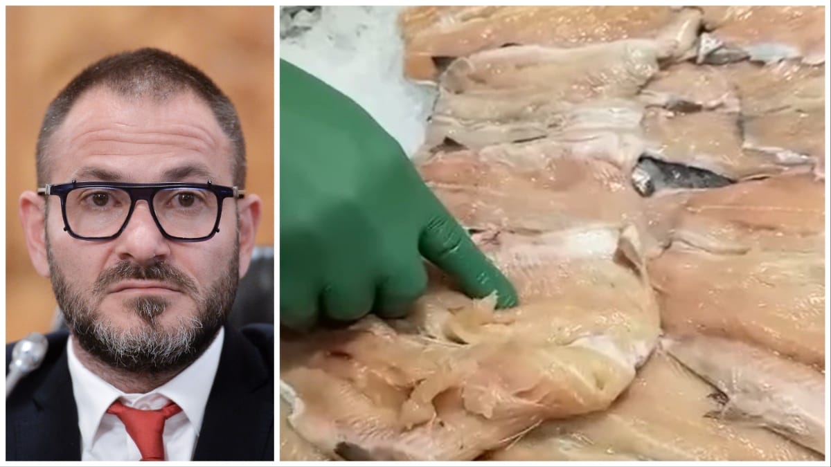 VIDEO| ”Peștele este ținut putrezit”, constată un comisar ANPC într-un magazin Kaufland. Horia Constantinescu: ”Pot afecta viața”-DECLARAȚII EXCLUSIVE