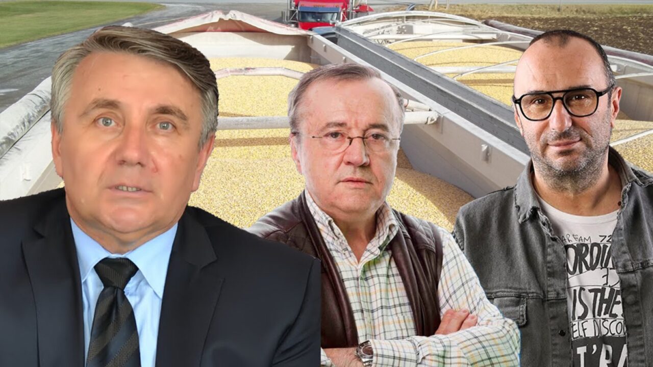 VIDEO | Ion Cristoiu: „Ucraina vrea să adâncească şi mai mult Canalul Bâstroe pentru a extinde exportul de cereale”