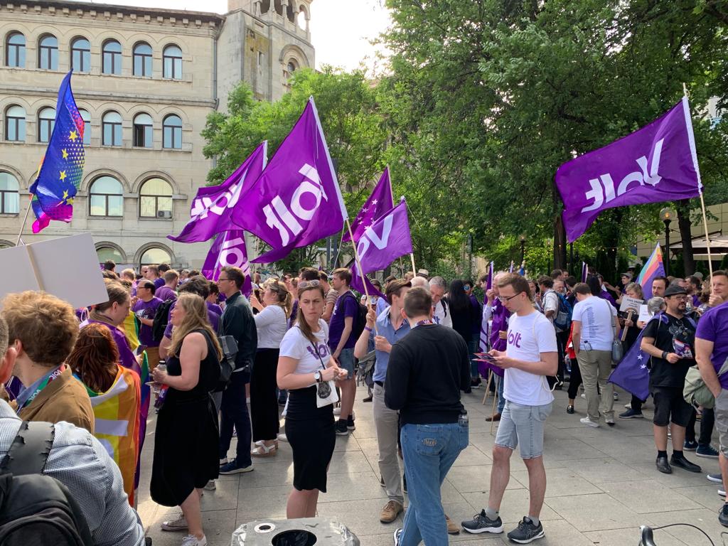 VIDEO | Marș organizat în centrul Bucureștiului pentru susținerea aderării României la spațiul Schengen
