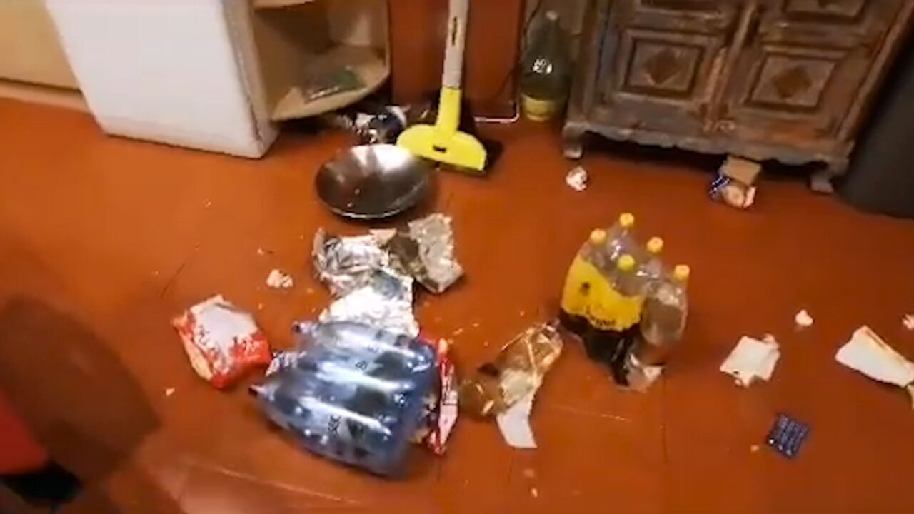 VIDEO | Un urs a intrat într-o casă de vacanță din Predeal, unde a făcut ravagii. A spart geamul ca să pătrundă în locuință