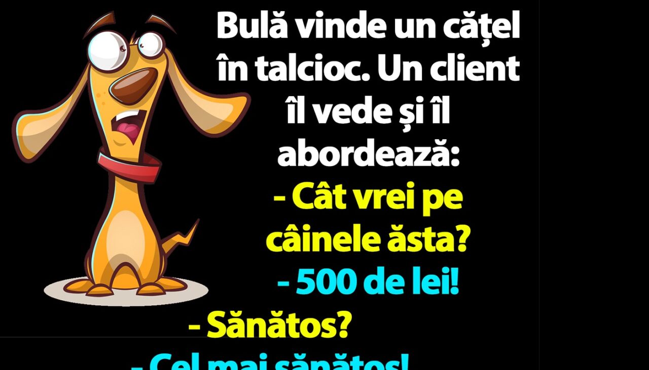 BANC | Bulă vinde un cățel în talcioc