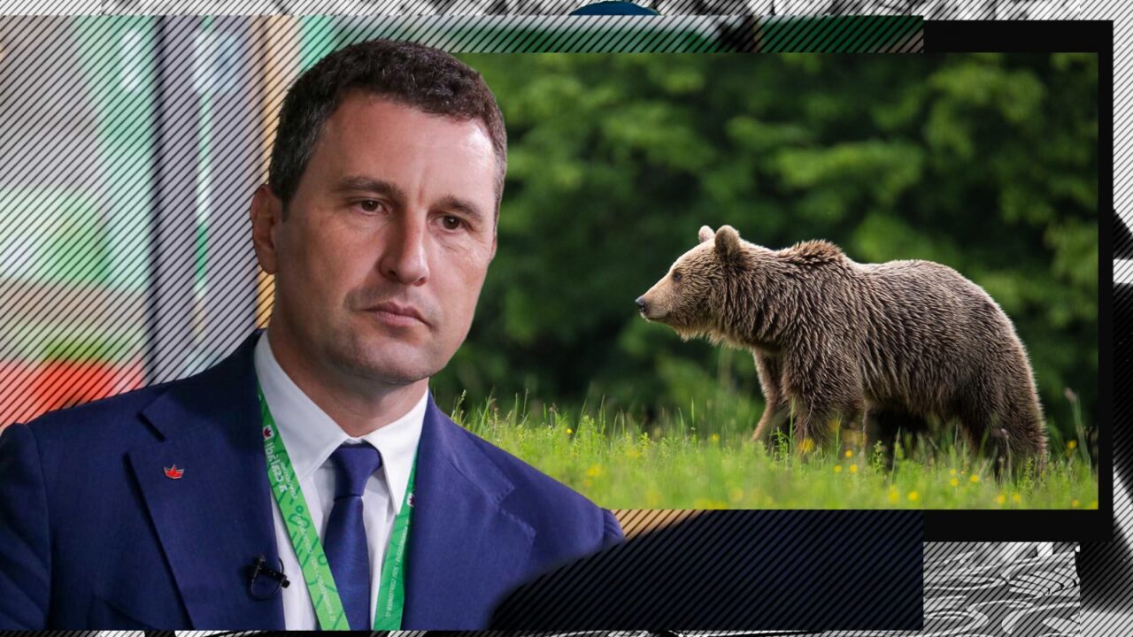 UDMR a depus proiectul de lege care prevede cote de vânătoare pentru circa 500 de exemplare de urs brun. Proiectul, semnat de 103 parlamentari