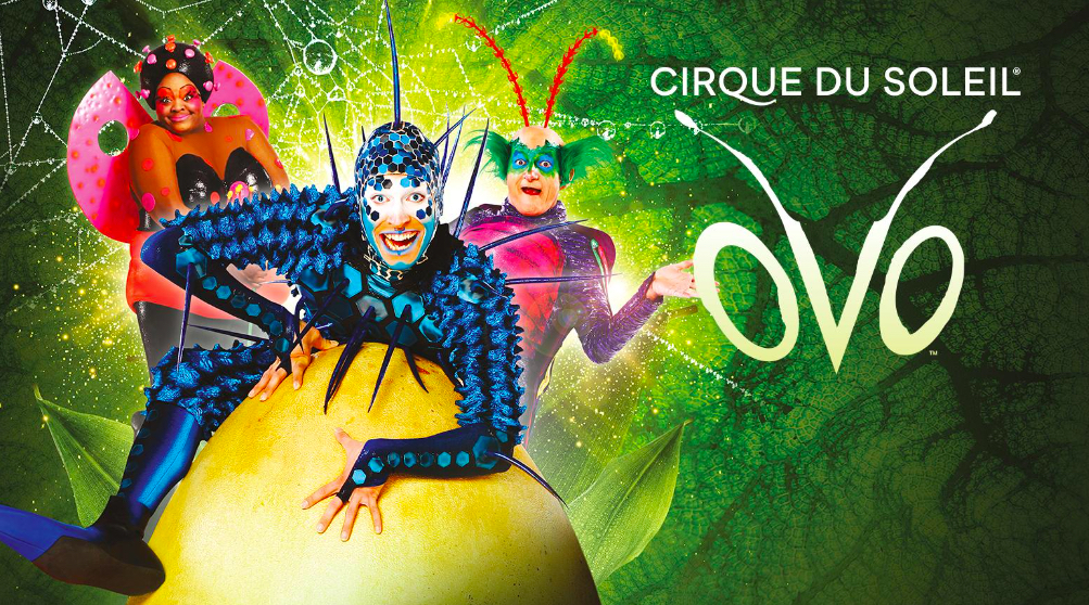 Cirque du Soleil revine la București cu cel mai nou show, OVO