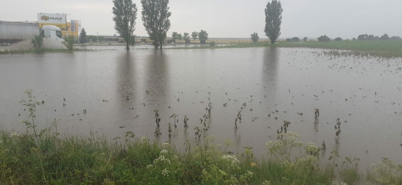 Ministerul de Interne, mobilizat pentru VIITURĂ. Nu sunt preconizate pagube materiale majore, asigură oficialii