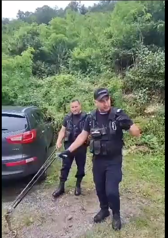 VIDEO | Viperă cu corn, îndepărtată de jandarmi din apropierea unei pensiuni