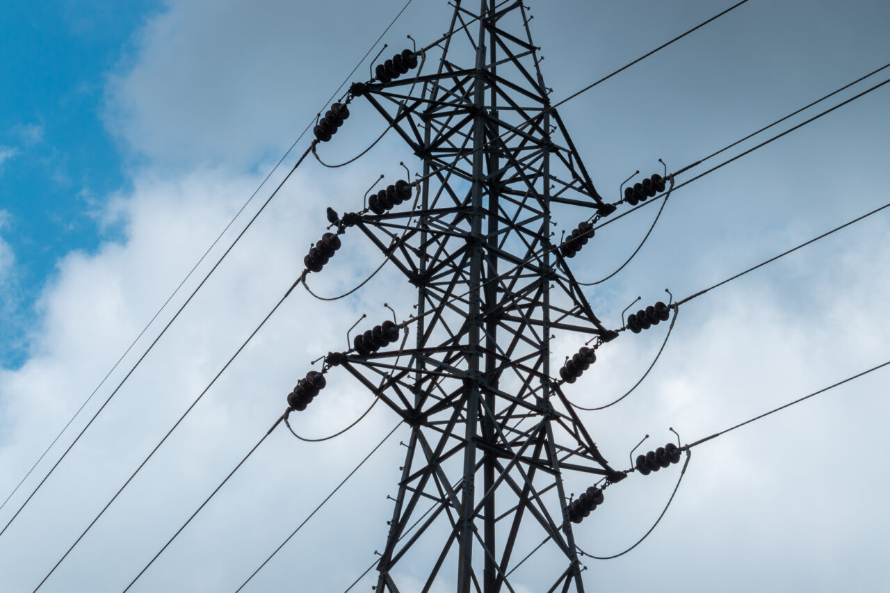 MAE face precizări după întrevederea ministrului de Externe, Luminița Odobescu, cu ministrul ucrainean al energiei, Gherman Galushchenko