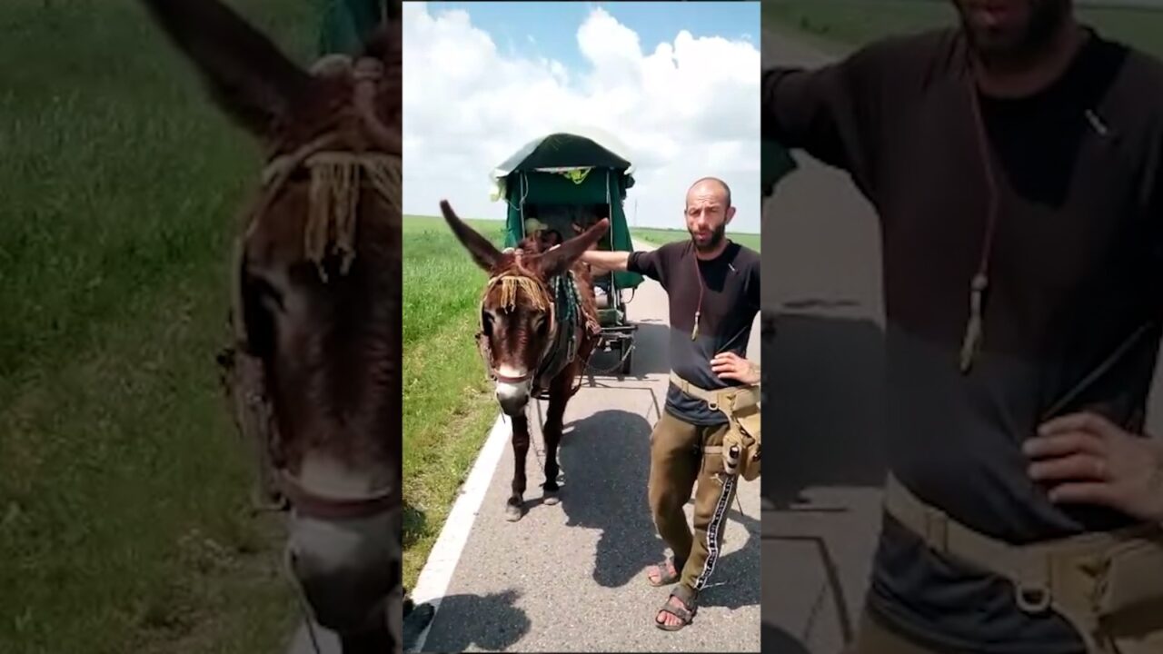 Ce spun despre ROMÂNIA francezii care călătoresc prin lume cu o căruță trasă de un măgar: „Cea mai frumoasă bucată de drum din ultimii doi ani”