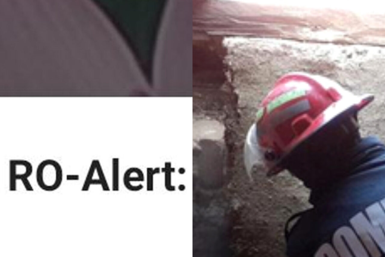 Mesaj RO-Alert într-un mare oraș din România! Amendă de 5.000 de lei dacă ucideți acest animal. „Închideți ușile și geamurile!”