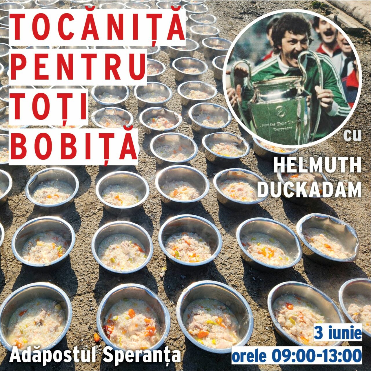 „Tocăniță pentru toți Bobiță” – Helmut Duckadam va GĂTI pentru 550 de câini fără adăpost