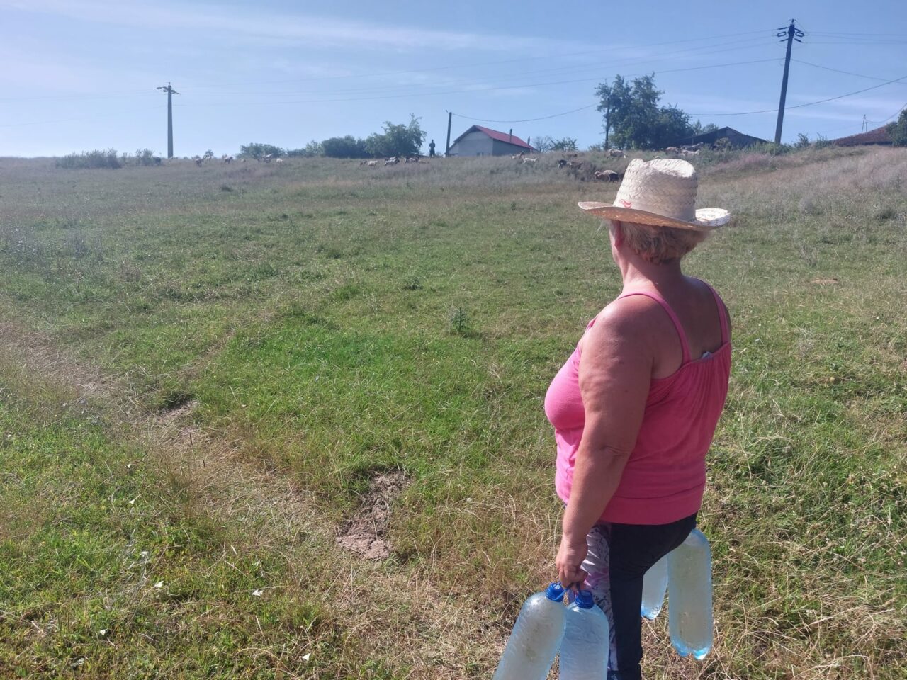 FOTO | Condiții ca în Evul Mediu. Locuitorii unui sat din Dolj cară apă din pădure, de la un kilometru distanță