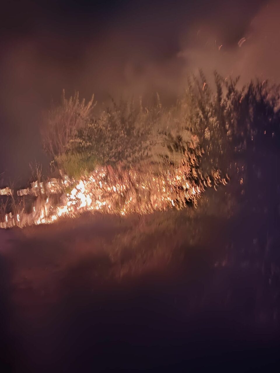 VIDEO | Incendiu de amploare în zona retrocedată din Parcul IOR din București. Flăcările sunt vizibile de la mare distanță