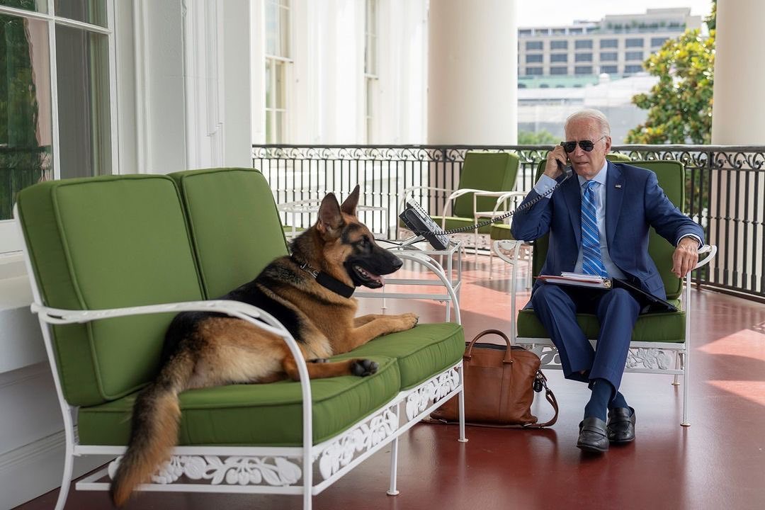 Câinele lui Joe Biden, Commander, a mușcat 7 agenți Secret Service. Președintele îl trimite la reeducare