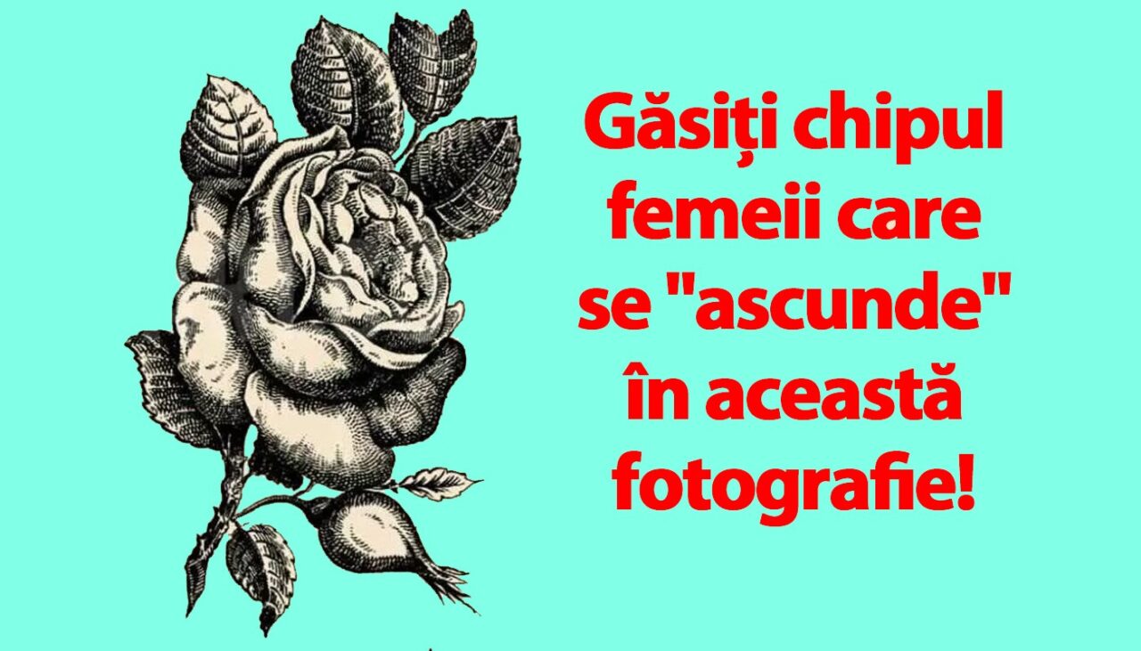 Test de inteligență din anul 1880 | Găsiți chipul FEMEII care se „ascunde” în această poză!