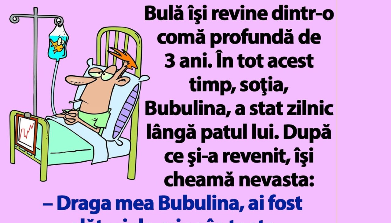 Bancul nopții | Bulă îşi revine dintr-o comă profundă de 3 ani