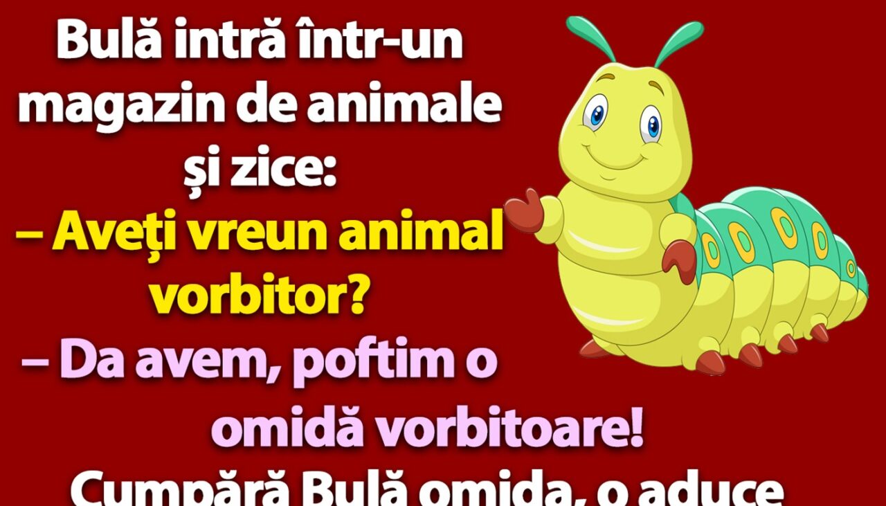 Bancul nopții | Bulă cumpără o omidă vorbitoare