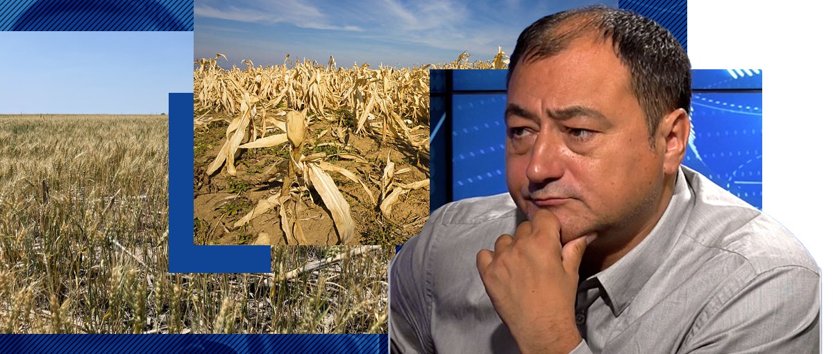 VIDEO | Mirel Palada, sociolog: „Subvenția pentru agricultură, tema nerezolvată în România. Energia, o altă problemă a țării”