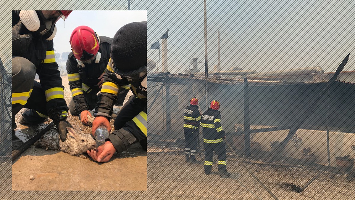 FOTO | Pompierii români au început misiunea de stingere a incendiilor de vegetație în insula Rodos