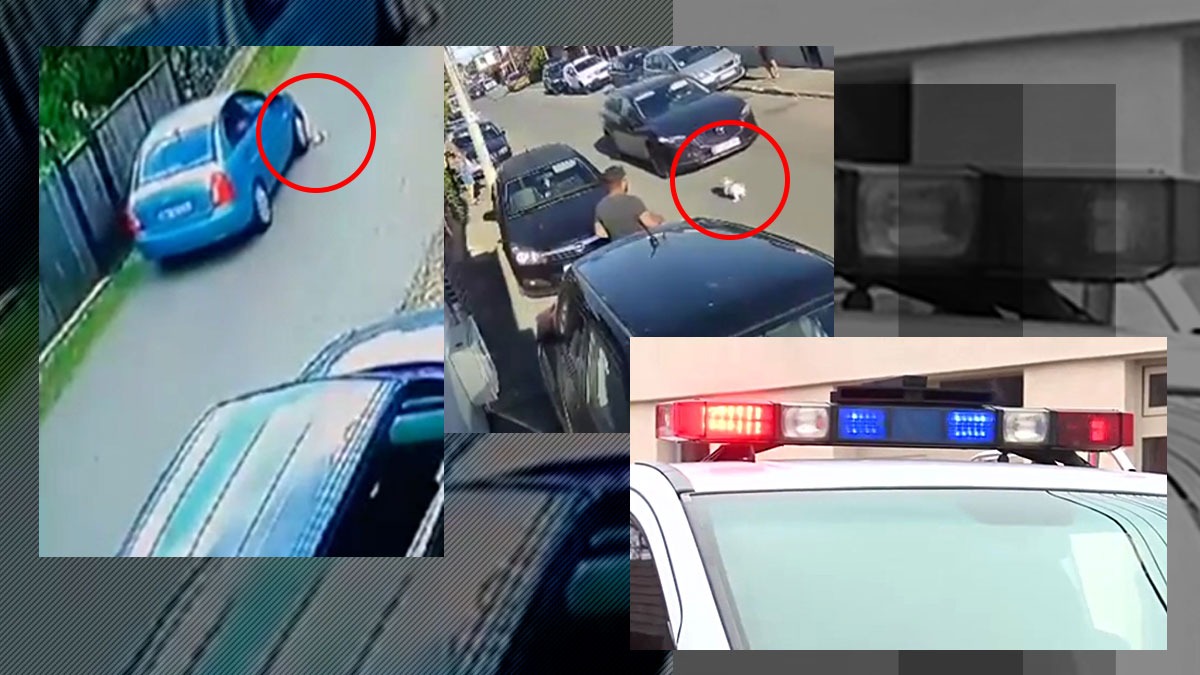 VIDEO. Imagini revoltătoare. Un șofer a călcat intenționat un câine pe o stradă din București. „Ar fi putut să dea și peste un copil fără să frâneze”