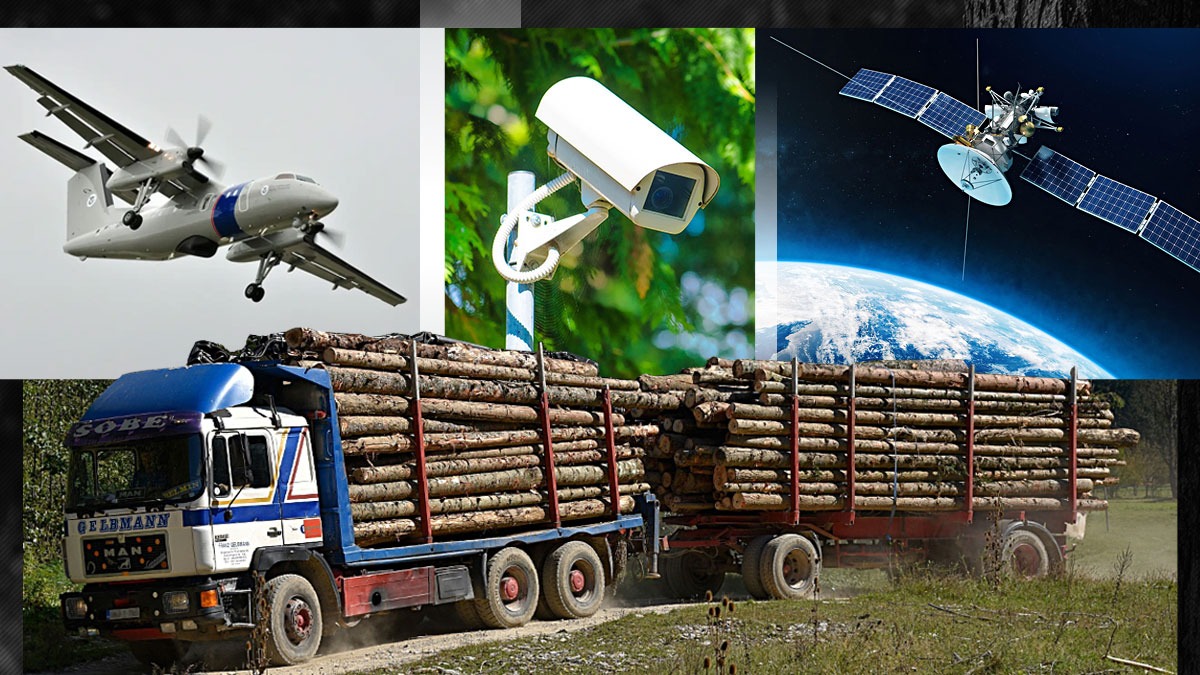 EXCLUSIV VIDEO | Cum pot fi salvate pădurile de la tăiere. Ministrul Mediului: ”Monitorizăm din satelit, aerian și cu camere de supraveghere”