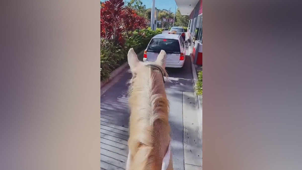 VIDEO | O femeie s-a dus călare pe un cal să își cumpere cafea de la un drive-thru McDonald’s. Cum au reacționat angajații
