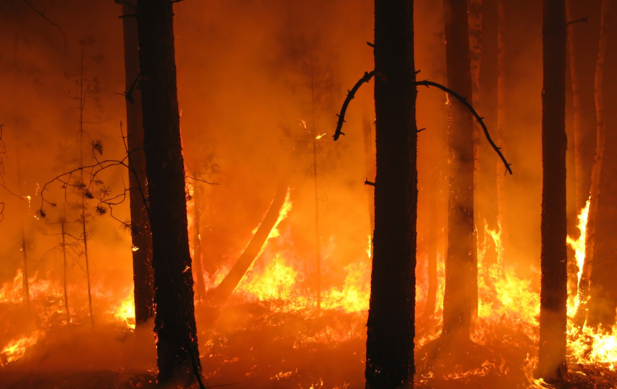 EUROPA, în flăcări. O nouă destinație turistică preferată de români, cuprinsă de foc. Vântul amplifică incendiile cu forța unui uragan