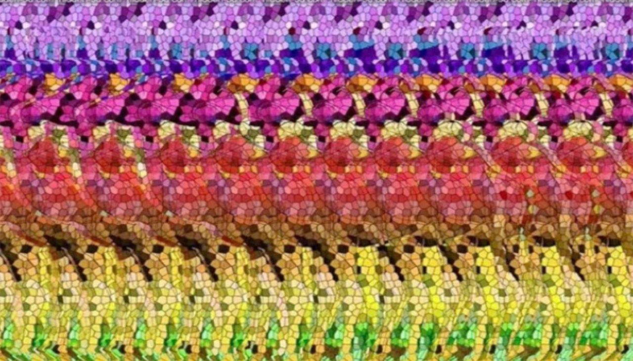 Iluzie optică VIRALĂ | Doar geniile „3D” pot vedea animalul care se ascunde în această autostereogramă