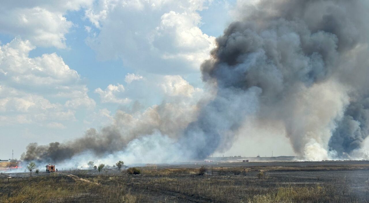 VIDEO | Incendiu puternic la marginea orașului Bragadiru. Fumul poate fi văzut din Capitală