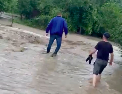 Ploile au făcut prăpăd în Dolj. Case și curți INUNDATE, copaci căzuți pe mașini și pe stradă | VIDEO
