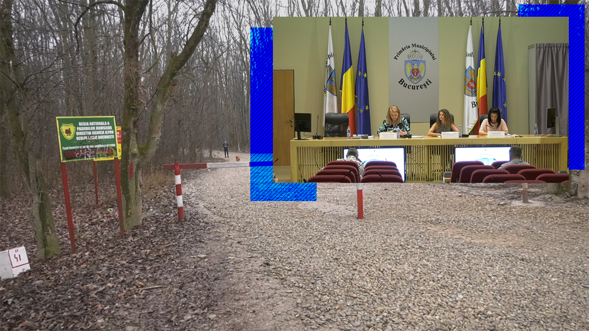 Proiectul ce viza deblocarea drumului spre cartierul Greenfield nu a fost votat, în lipsa rapoartelor de specialitate