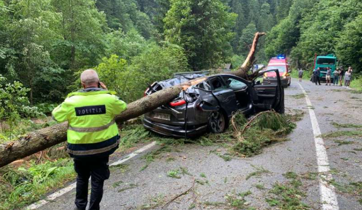 Tragedie pe Transalpina. O femeie a murit după ce un copac a căzut peste un autoturism în care se aflau patru persoane