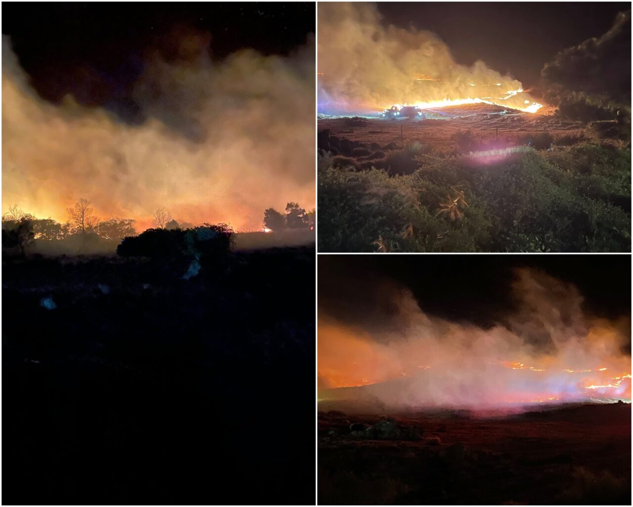 INCENDII în Hawaii. Aproape 100 de decese confirmate / Peste 2000 de clădiri au fost rase de pe fața Pământului – FOTO&VIDEO