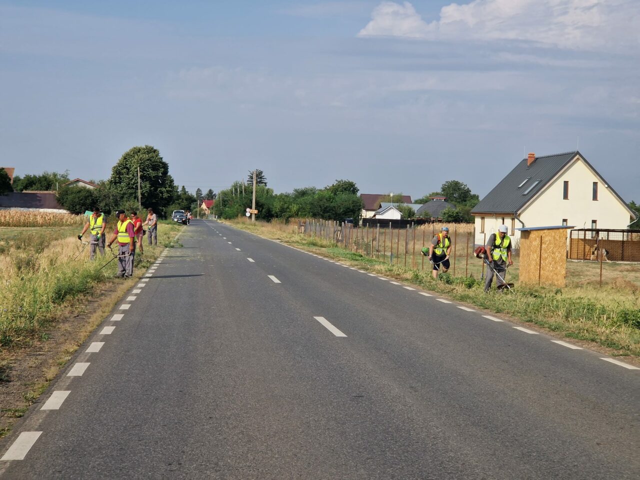 Autoritățile din Ilfov continuă lupta împotriva ambroziei în mai multe comune, din Afumați până în Grădiștea (P)