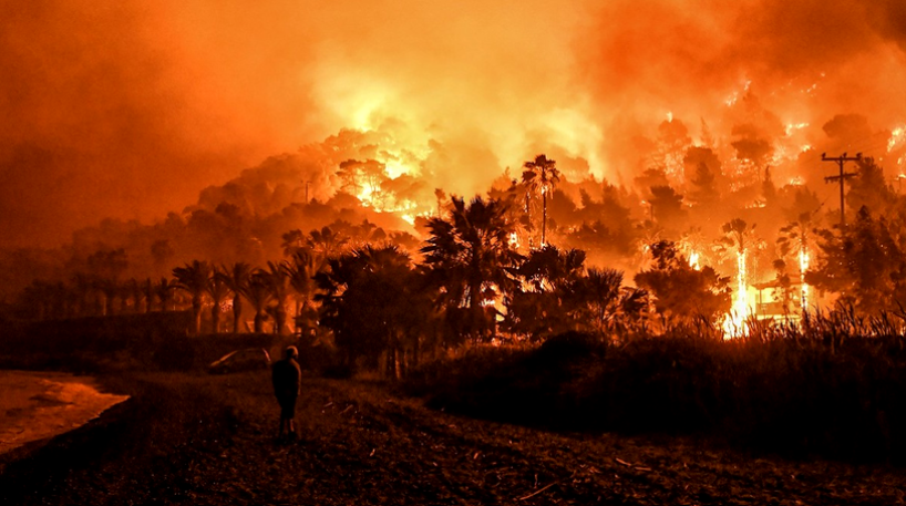 INCENDIILE de vegetație și zonele prioritare de conservare a naturii în Europa