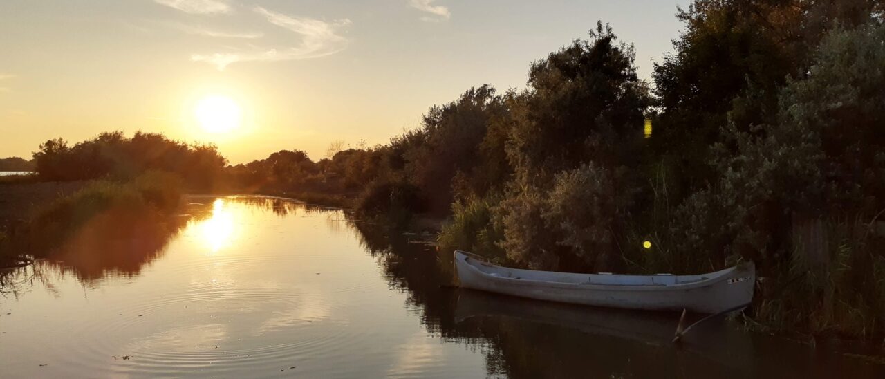 Rezervația Biosferei eliberează și on-line permise de acces în Deltă. Care sunt regulile și obligațiile impuse turiștilor