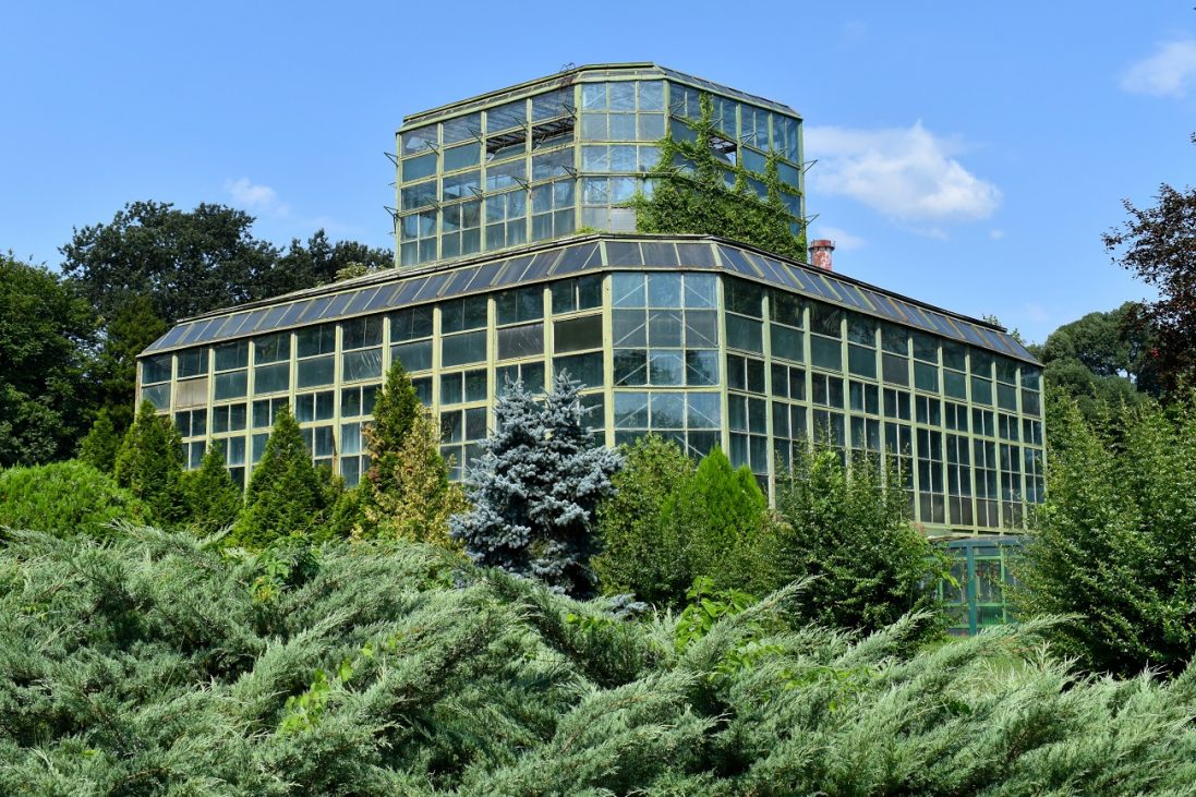 Instalații de artă, în Grădina Botanică din București
