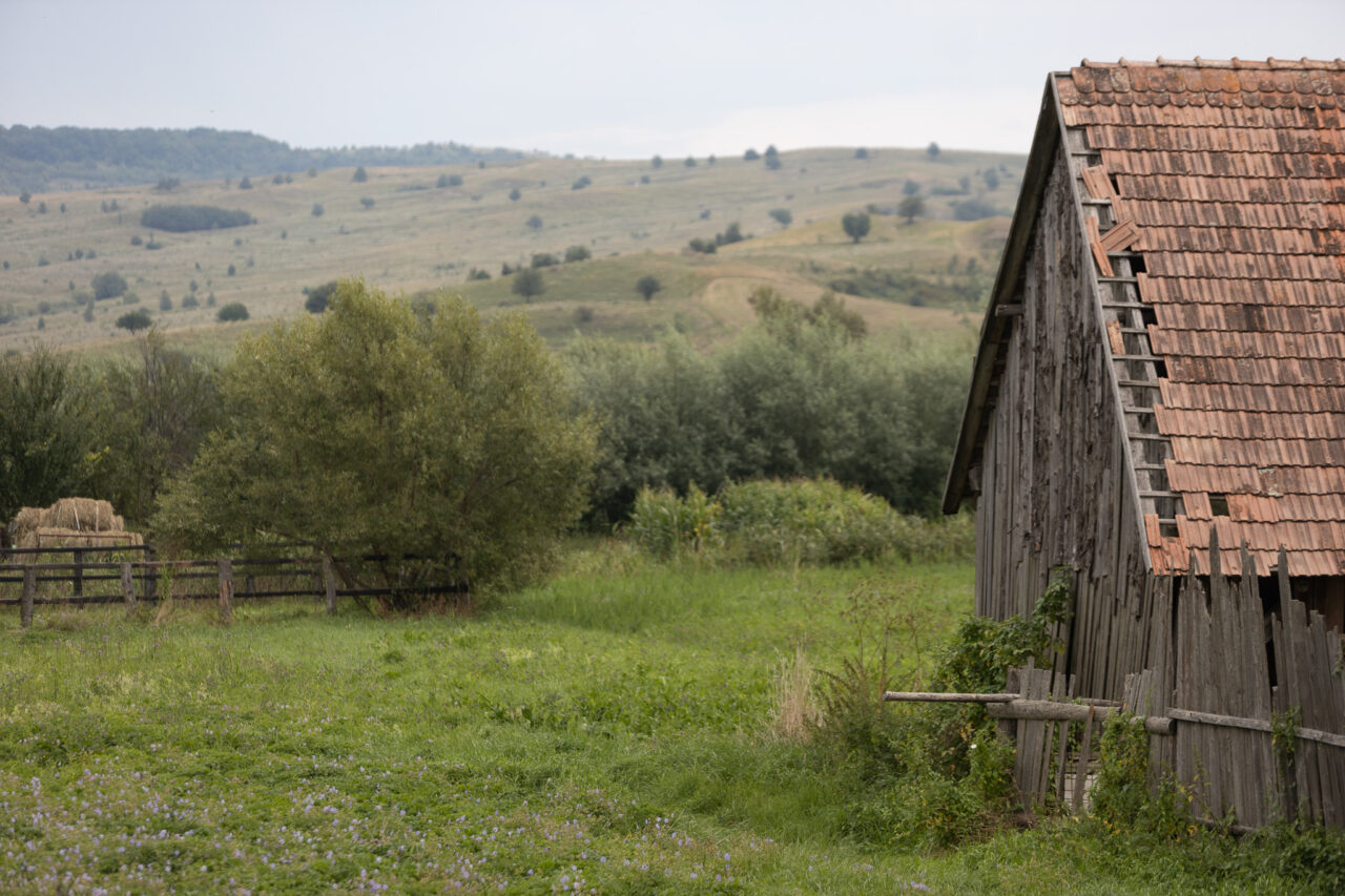 Cu cât se vinde o casă în VISCRI, locul iubit de regele Charles al III-lea