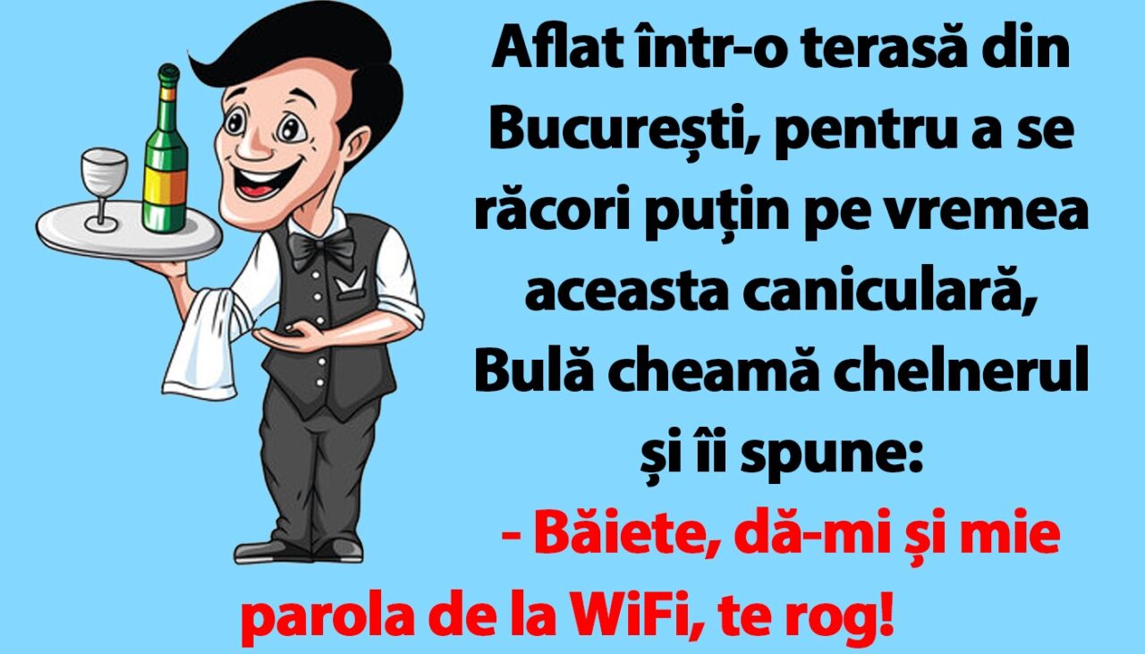 BANC | Bulă cere parola de WiFi, într-o terasă din București