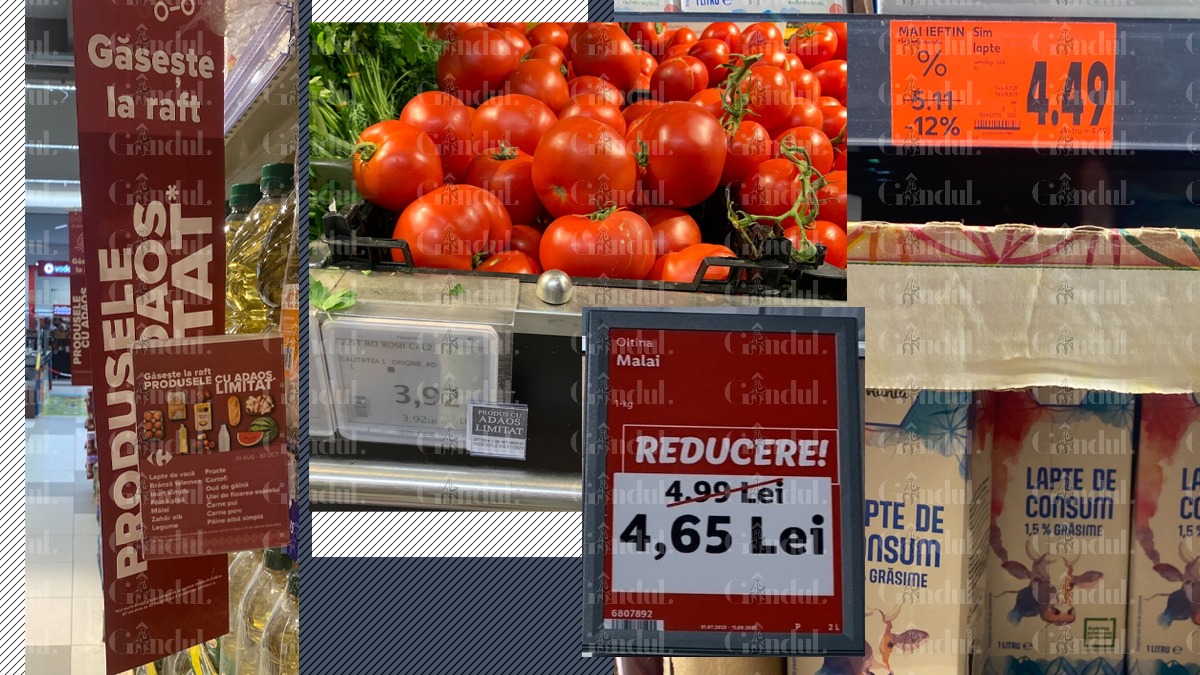FOTO | Cât costă să umpli coșul de cumpărături cu alimentele care s-au ieftinit după plafonarea adaosului. Prețurile diferă de la un magazin la altul