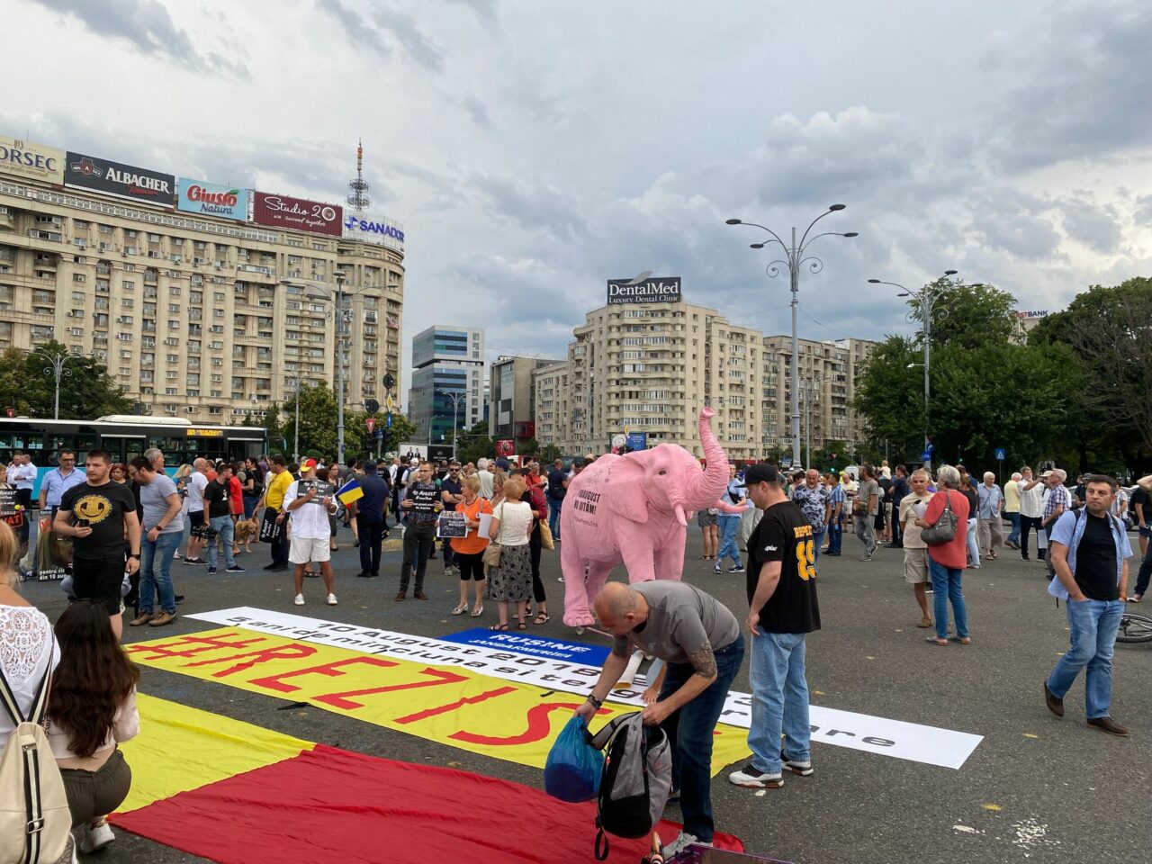 Participanții la protestul „10 august” din Piața Victoriei cer DREPTATE pentru victimele abuzurilor jandarmilor: „Vrem ca vinovaţii să plătească”