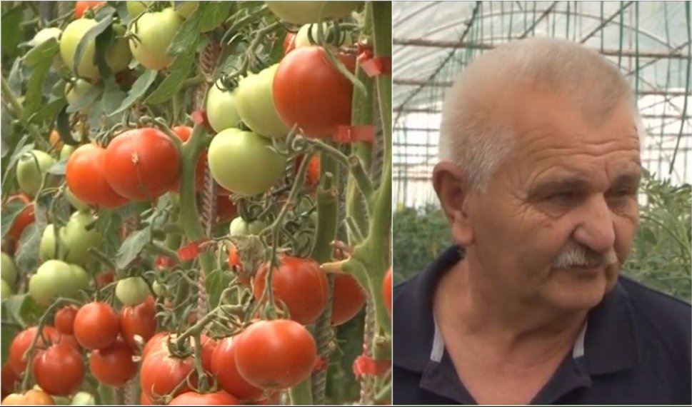 Povestea românului care crește legume BIO și le vinde cu 60% mai ieftine decât în magazine: „Pământul nu a văzut de vreo 30 de ani chimicale”