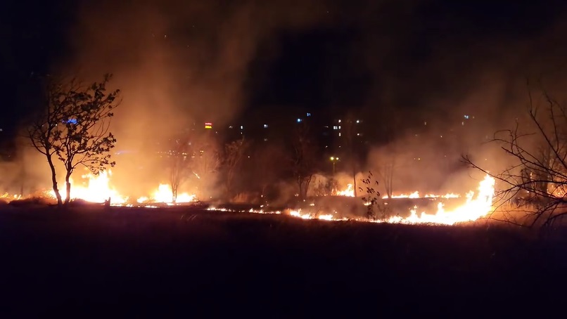 VIDEO | Incendiu violent în Parcul IOR din Capitală. Arde o suprafață de 4.000 mp, iar pompierii intervin la fața locului