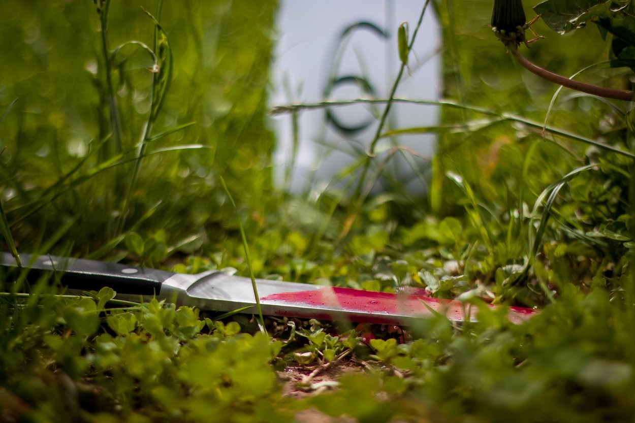 Un minor de 15 ani a fost ÎNJUNGHIAT mortal de fostul iubit al mamei sale. A apărat-o până în ultima clipă chiar cu prețul vieții