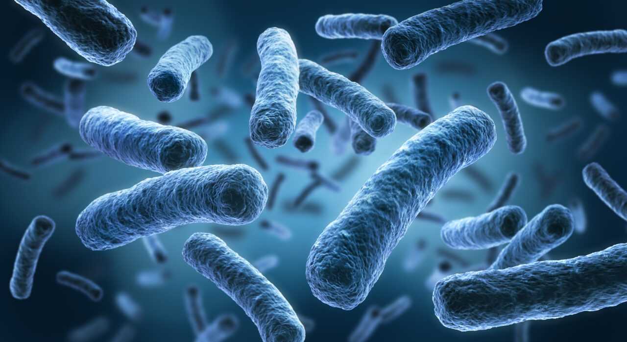 Alertă în Polonia! 5 oameni au murit din cauza unei bacterii extrem de periculoase