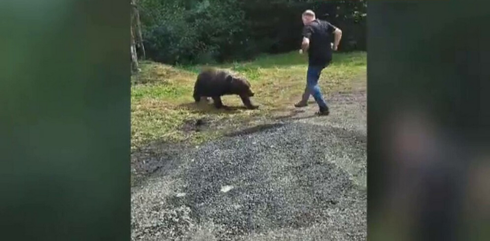 VIDEO | Turist polonez, atacat de un urs pe Transfăgărășan când voia să îl fotografieze. Momentul a fost filmat
