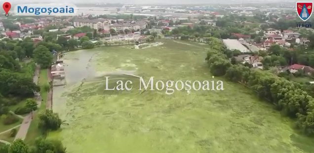 VIDEO | Hubert Thuma, despre acțiunea de ecologizarea a lacului Mogoșoaia: ”Noi facem proiecte cu și pentru oameni! Este simplu!” (P)
